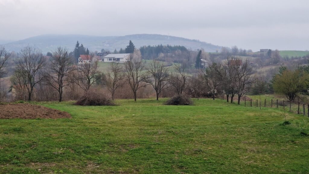 Villa Artemis outdoors