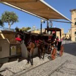 Horse-Drawn Carriage, Valletta