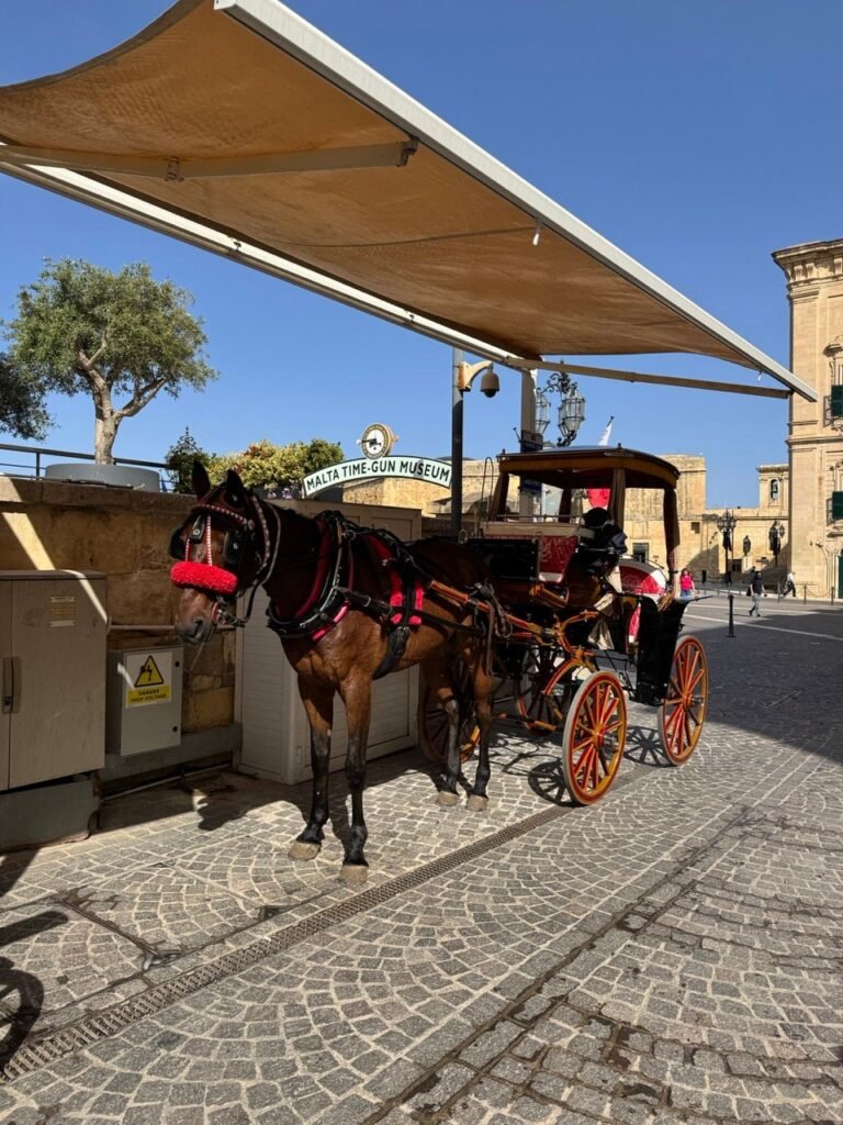 Horse-Drawn Carriage, Valletta