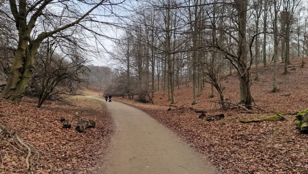Jægersborg Deer Park