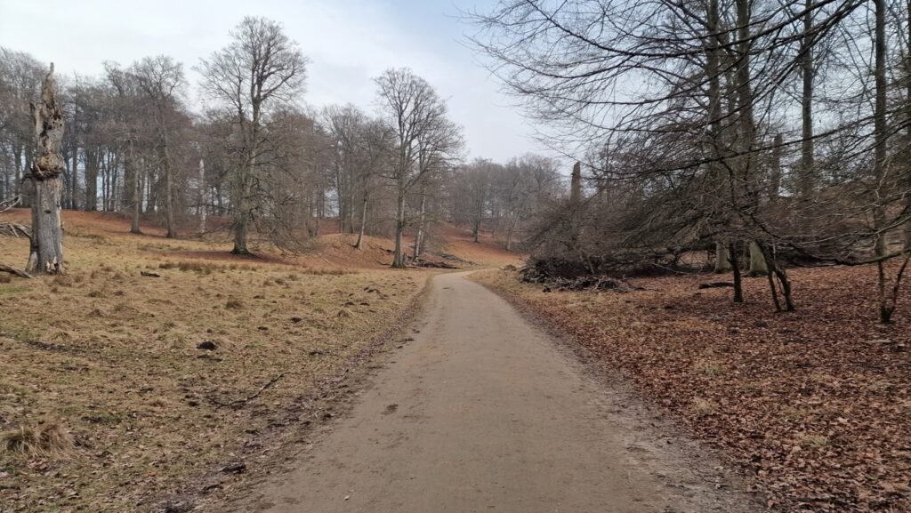 Jægersborg Dyrehave