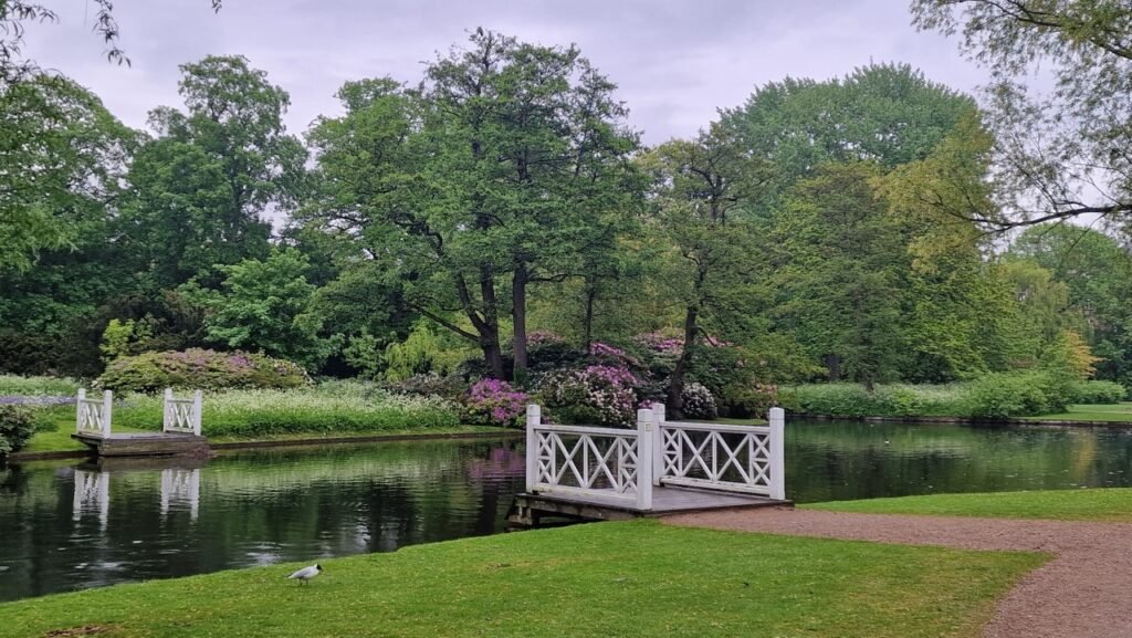 Amazing Frederiksberg Have lake and flowers