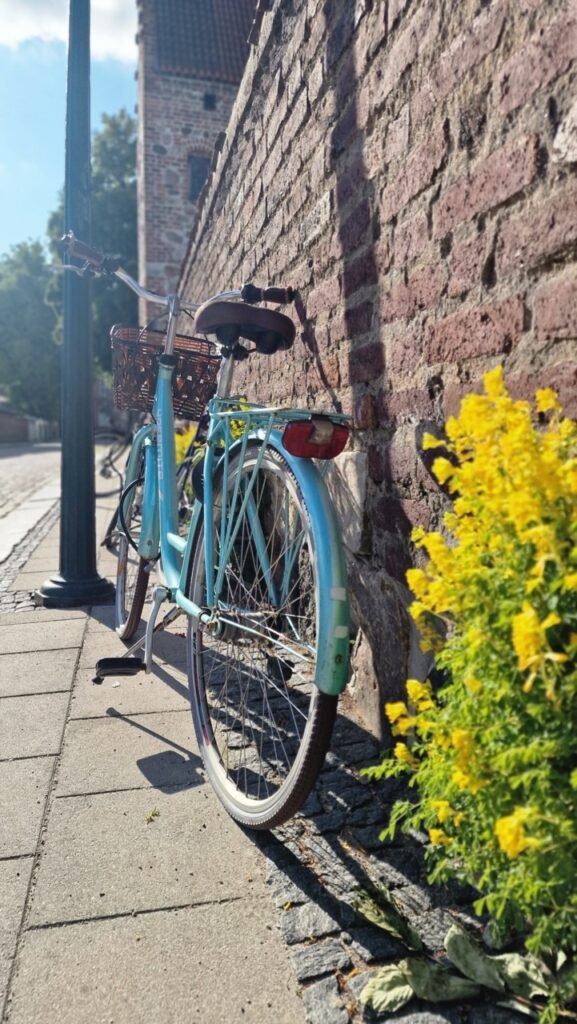 Bicycle with flower in Lund