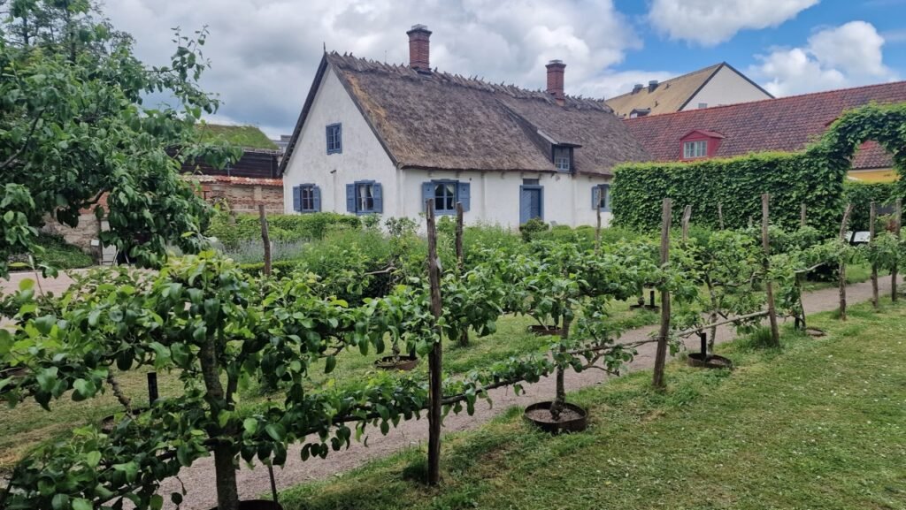 Kulturen open-air museum 1