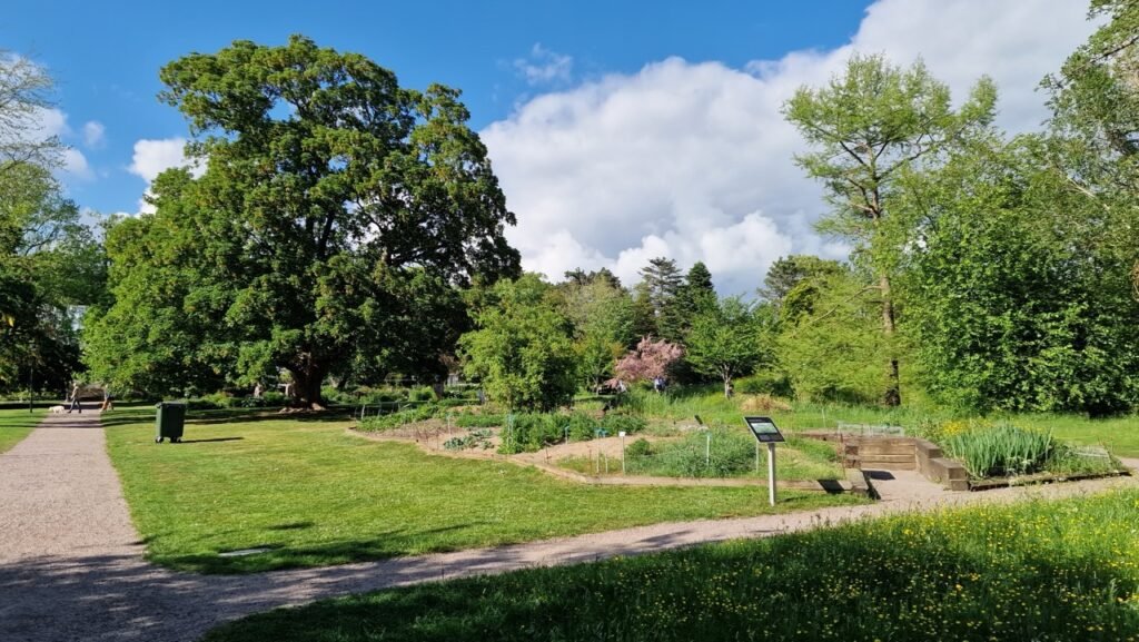 Lund. Botanical Garden